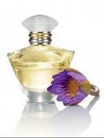 /album/fragr%c3%a2ncias/journey-jpg/